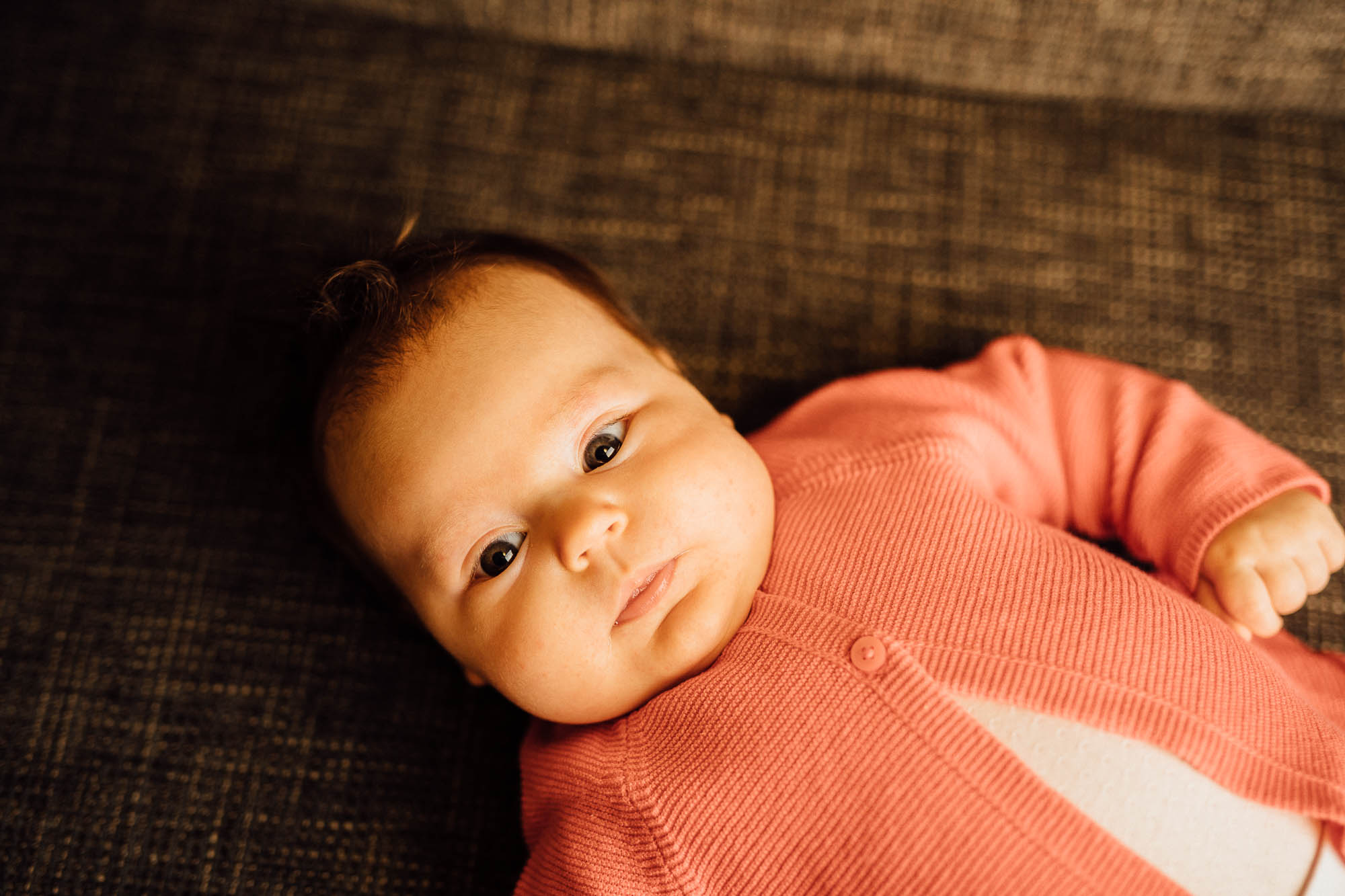 Export x3 5D4 0424 Familyfotoshooting 2020 Rossbach